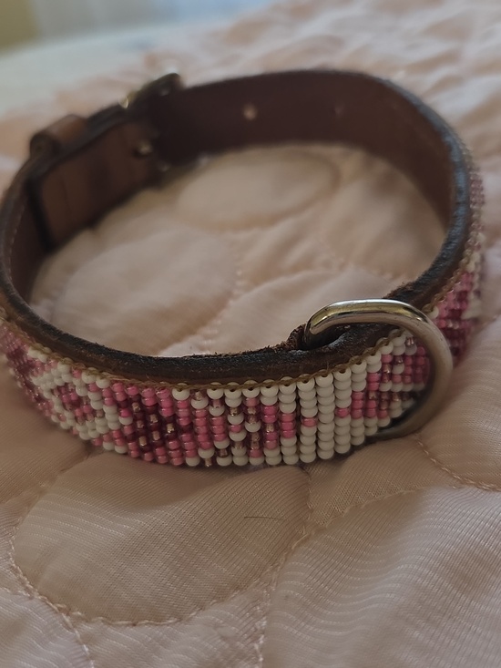 Sambboho Other - Sambboho, Size 12"-14" Hand Beaded In Brazil Leather Dog Collar